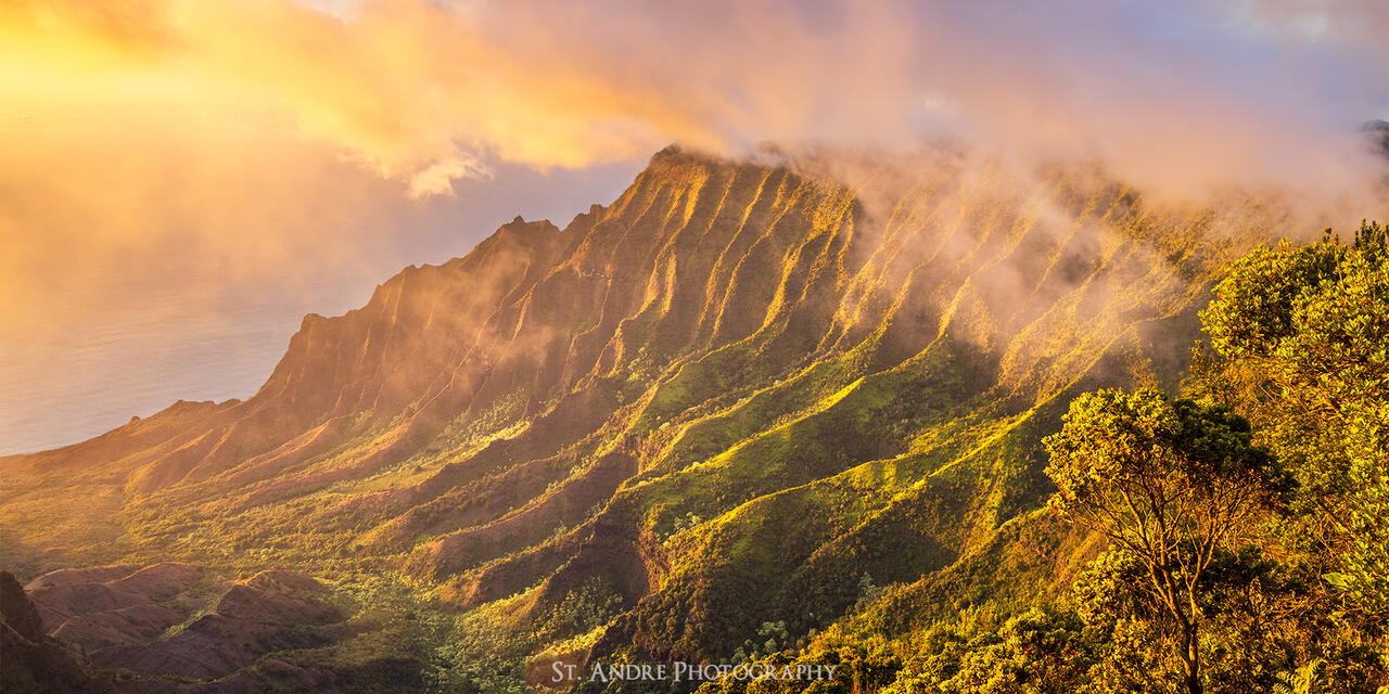Pu'u O Kilo Lookout print