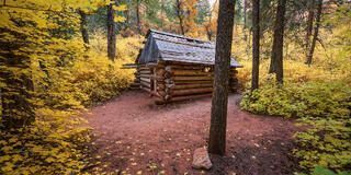 A pioneer cabin tucked in grove of maple leaves in Kolob Canyon region of Zion National Park