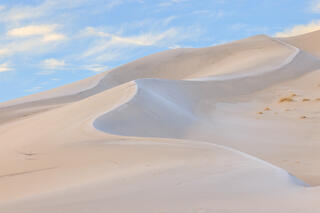 The dance of dunes at sunrise