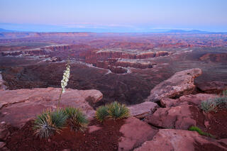 Reflections of Pain, Wilderness, and Art