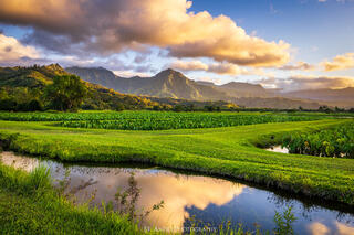 Hanalei National Wildlife Refuge