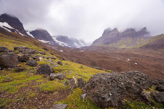  A green landscape on the edge of the Hole In the Wall Glacier in Alaska