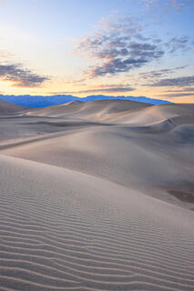Mesquite sand dunes at sunset