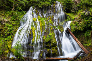 A lush cascade of a waterfall with moss growing anywhere it can