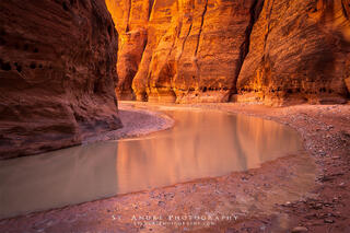 The paria river at the bottom of a deep canyon with a warm glow lighting up the cliff walls.