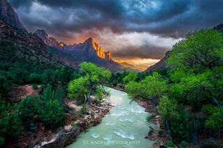 The watchman mountain in Zion National Park lit up at sunset in spring time. The virgin river flows from the bottom of the scene and curves towards the mountain