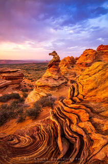 The sea horse hoodoo within the vermillion cliffs national monument within Coyote buttes south. 