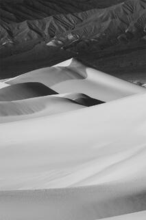 A black and white image of Mesquite dunes