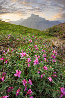 Castle Mountain In Alaska at sunset. 