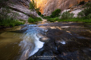 Maime creek flows through the canyon called death hollow in the Escalante wilderness in southern utah. 
