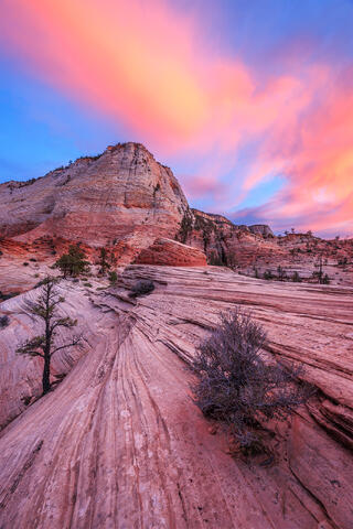 Zion National Park