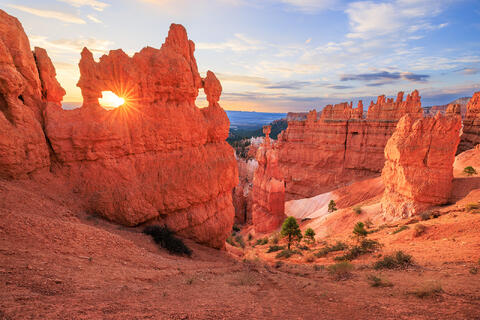Bryce National Park