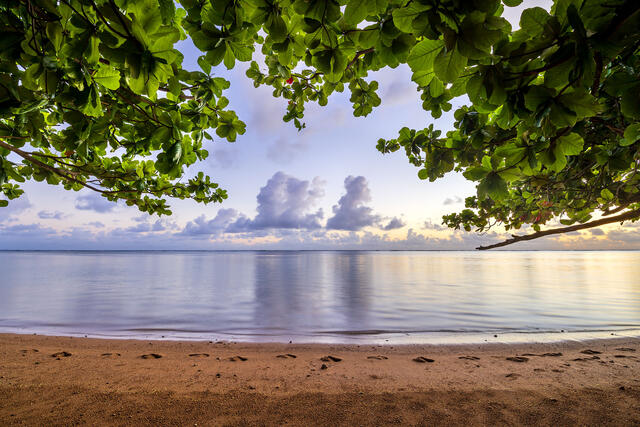 Anini Cloud Pillars print