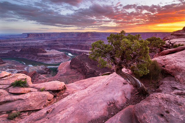 Dead Horse Point print