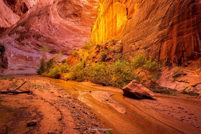 Deep Glow in Coyote Gulch print
