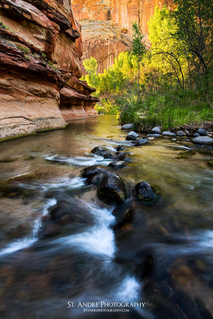 Escalante River print