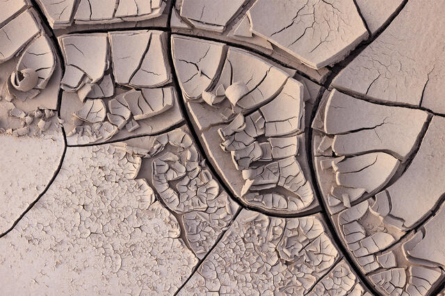 Fractal Mud Cracks print