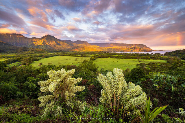 Hanalei Bay Overlook print