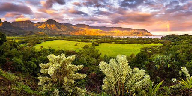Hanalei Bay Pano print