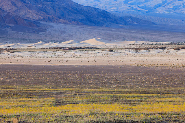 Layers of Death Valley print