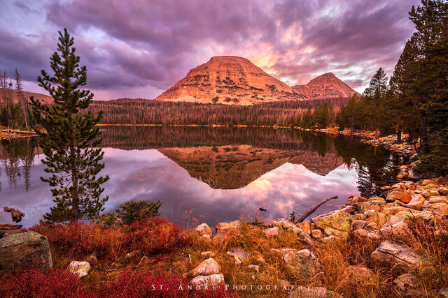 Mirror Lake print