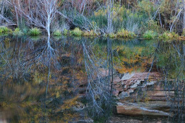 Mirrored Reality print