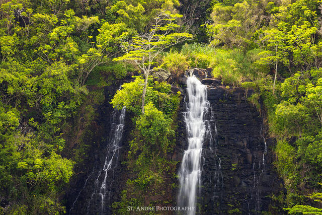 Opaekaa Falls print