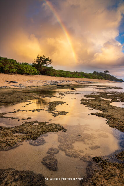 Rainbow Lagoon print