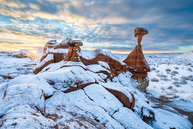Snowy Toadstools print