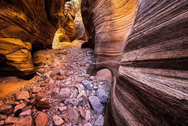 Spring Creek Arch print