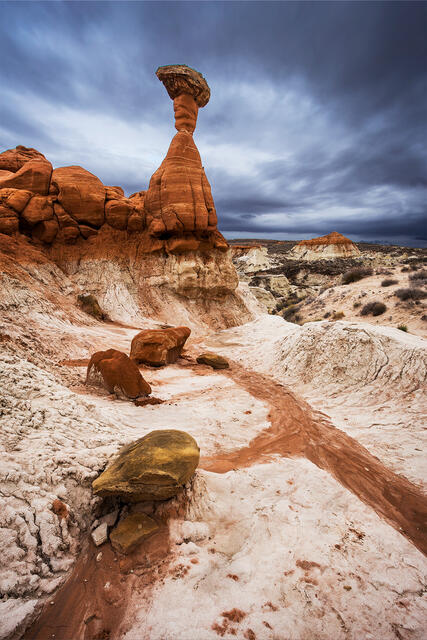 The Great Toadstool print
