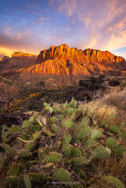 Walls of Zion print