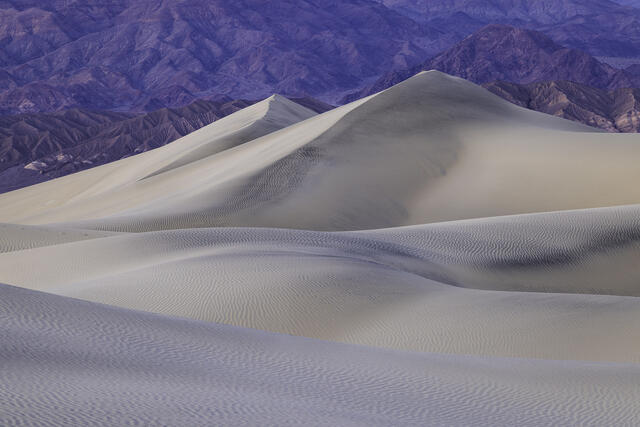 Sierra Dunes print