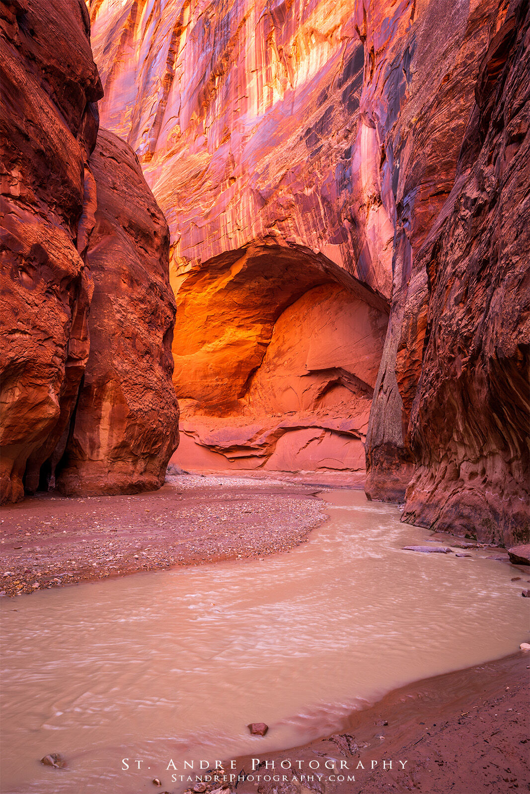 The Paria river as it cuts its way through a deep crimson sandstone canyon. 