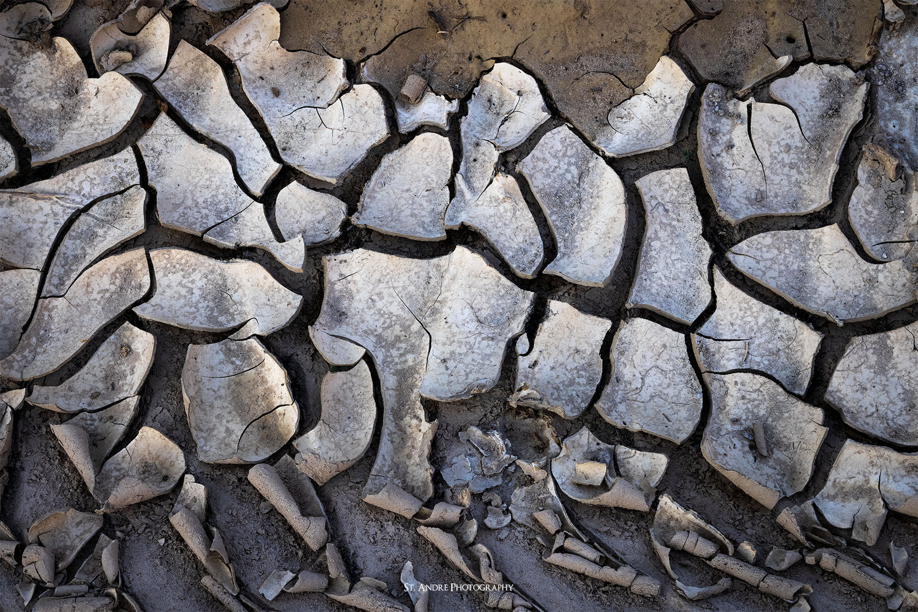 Mud cracks that had formed on the escalante river flood plain after a large flood. 