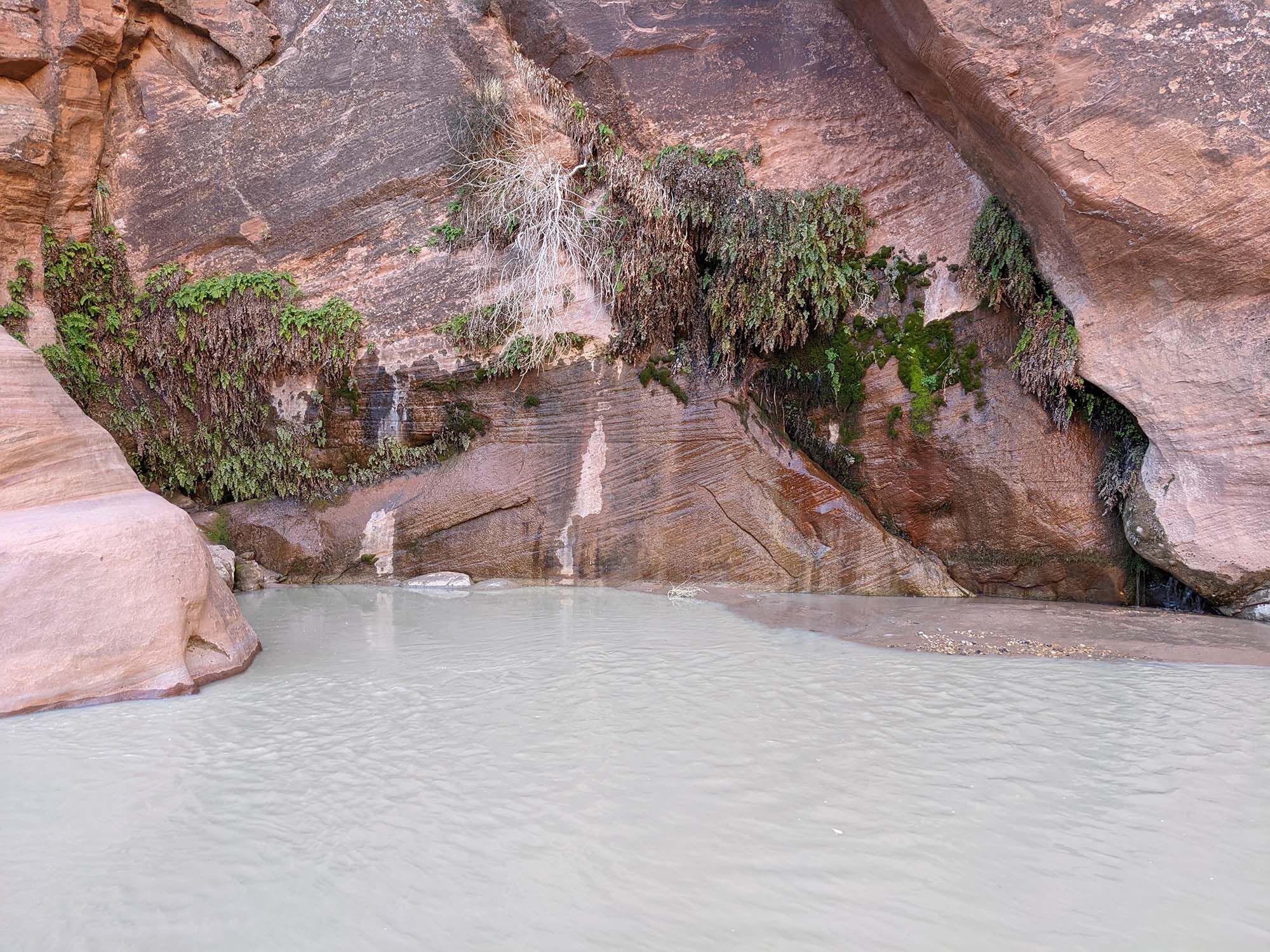 Big springs in the Paria River