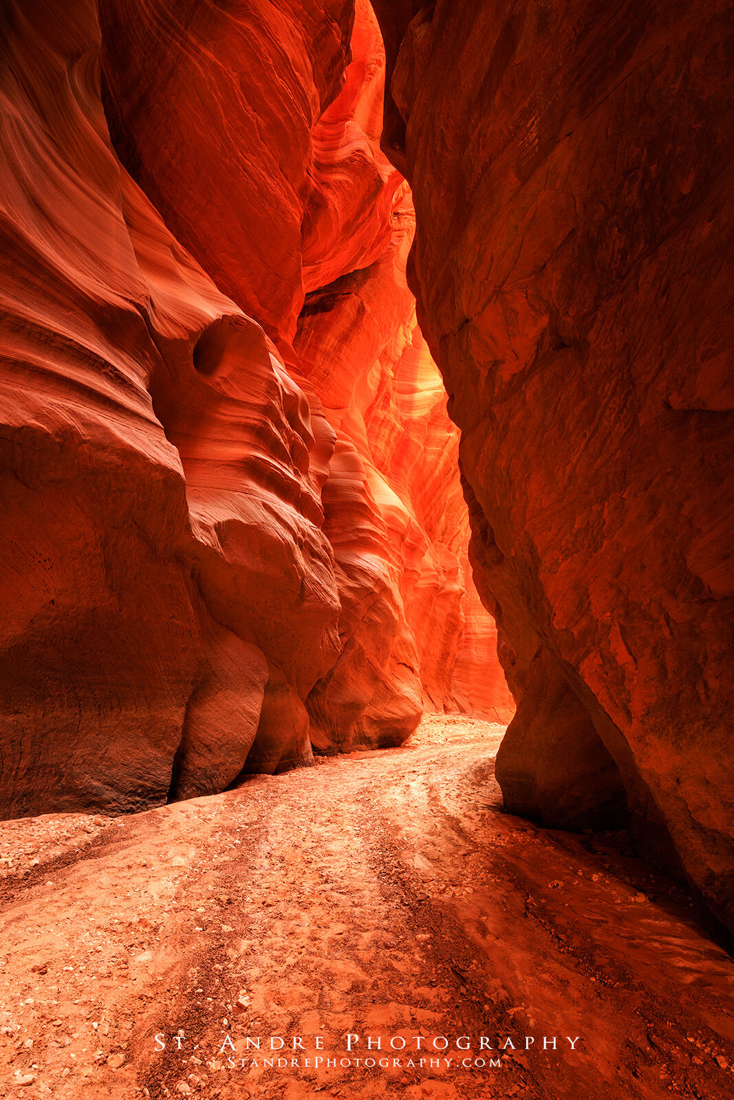 A deep crimson slot canyon called buckskin gulch within the deserts of southern Utah found on the vermillion cliffs national monument. 
