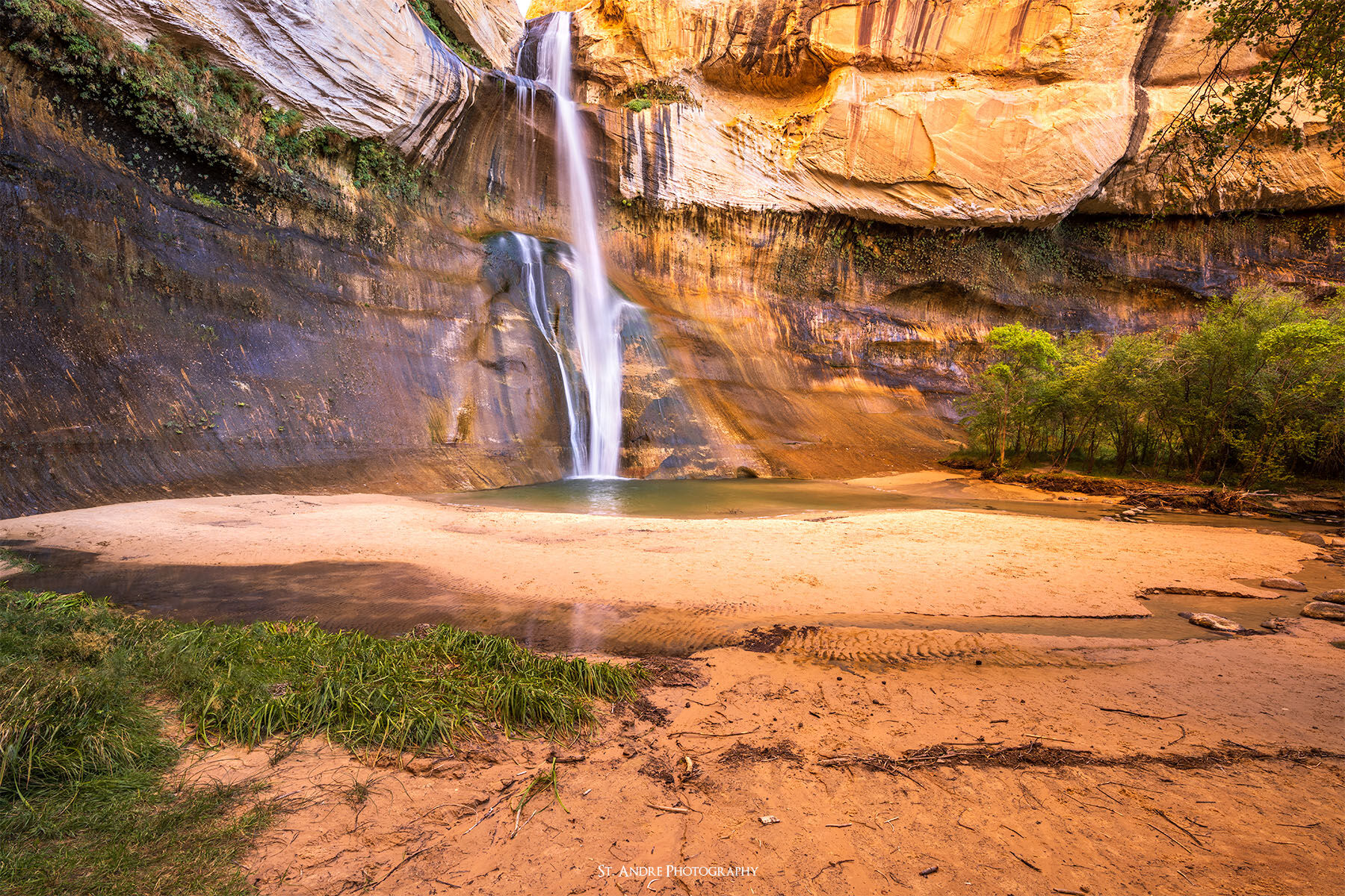 The large waterfalls of Calf Creek Falls cascades off the cliffs into a large canyon surrounded by green riparian plants. 