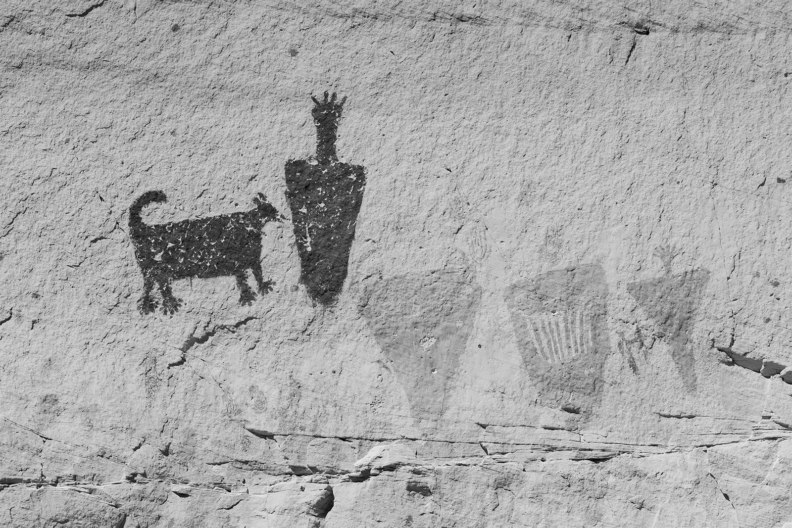 Cougar Spirit petroglyphs on the side of a canyon wall depicting anthropomorphs and a mountain lion in black and white.