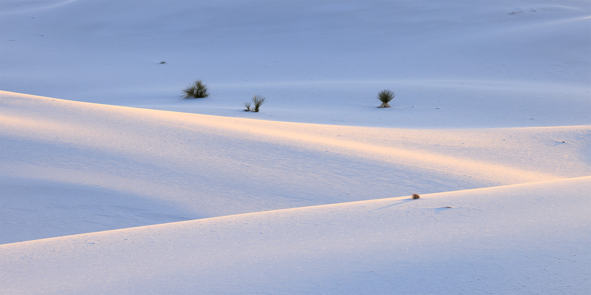 Cool Lines of Three sand dunes lit up by the rising sun with a few yucca in the distance in white sands.