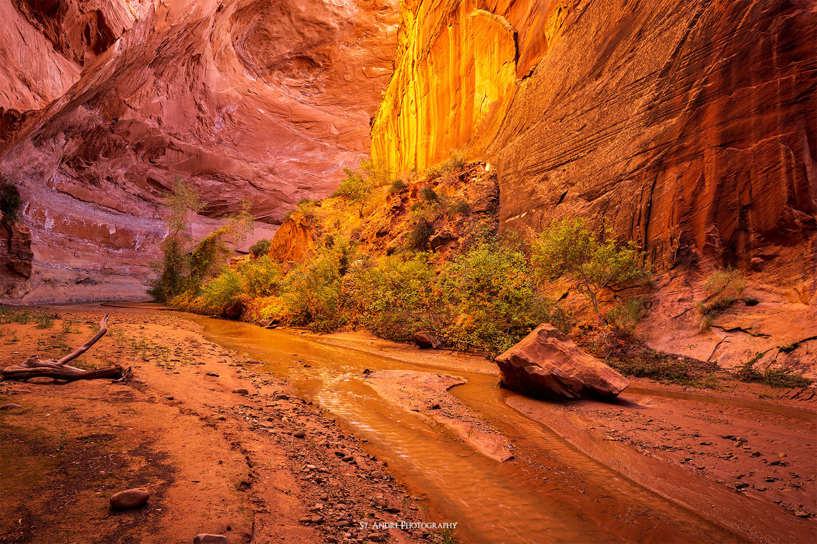 A large red rock canyon is lit up by reflected light. A stream flows through the canyon and carries the viewer deeper into the unknown. 