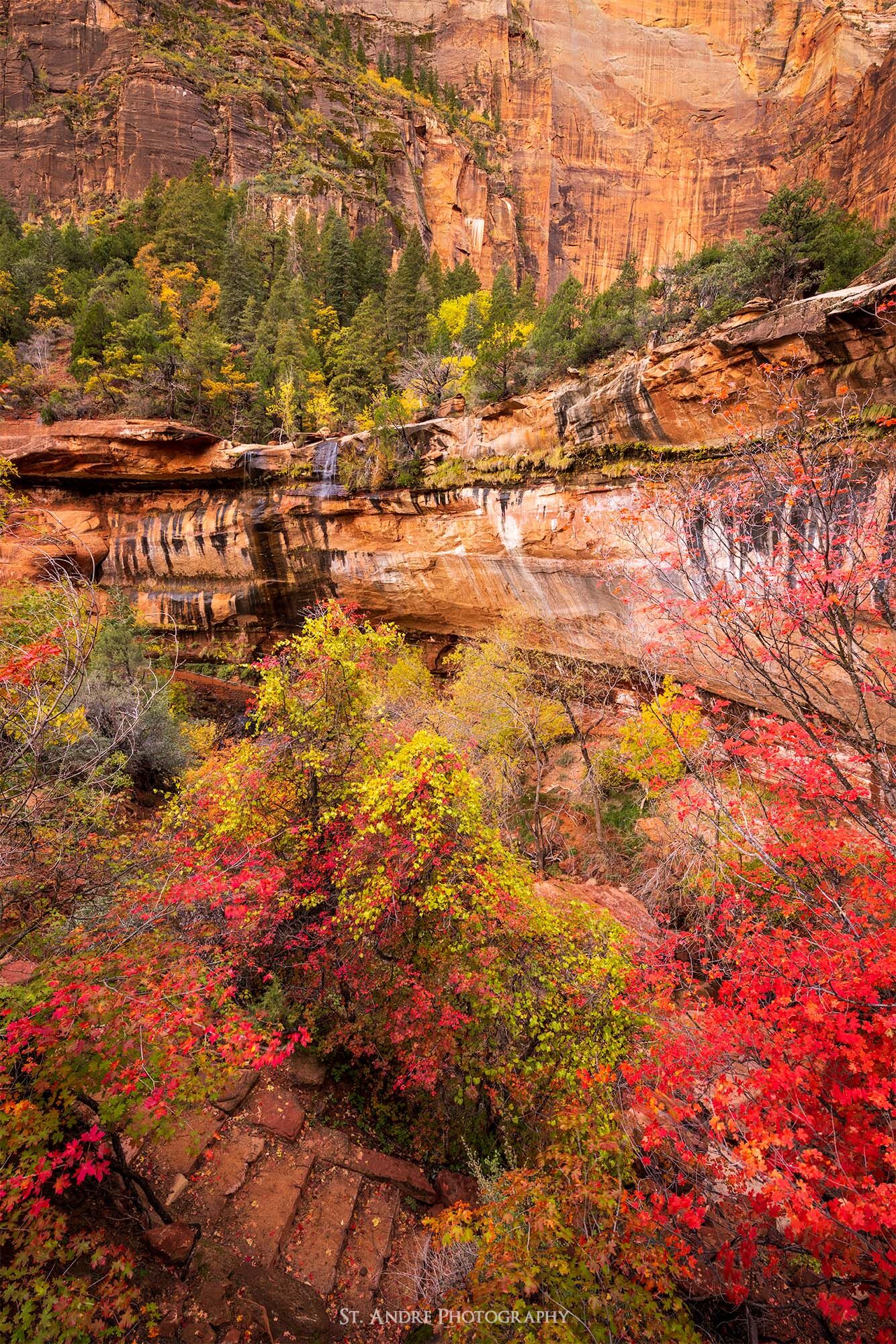 Emerald Pools in Zion National Park in Southern Utah. The image shows fall colors and a staircase leading toward an unknown location. 