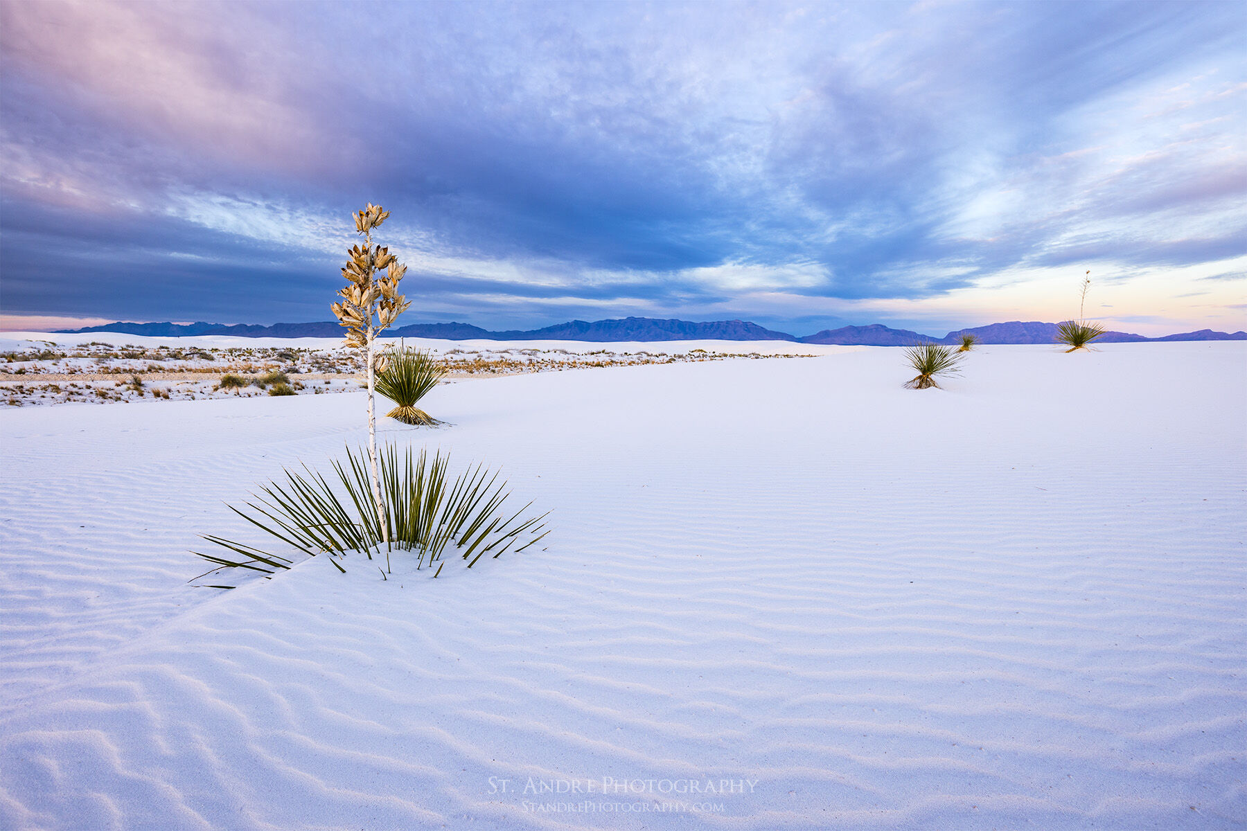 white sands national park, desert, sand dunes, new mexico, white,
