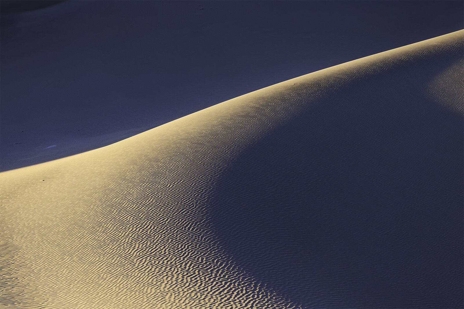 A sharp hook of the sand dune backlit by the sun at sunset.