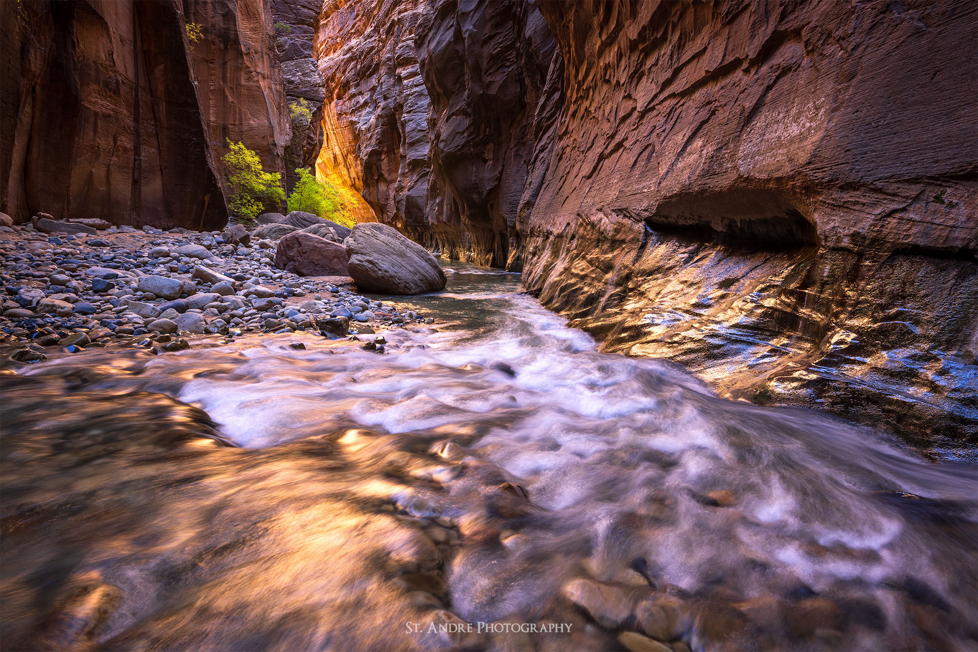 A cascade in the Narrows of Zion National Park with a golden glow of light that is backlighting trees with fall leaves on them. 