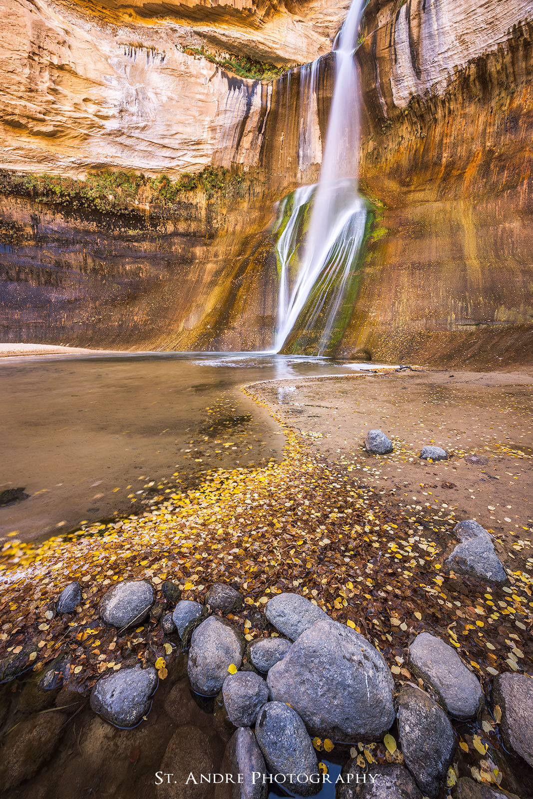 Rocks and leaves create a golden trail all the way to A large waterfall in a red rock canyon. 