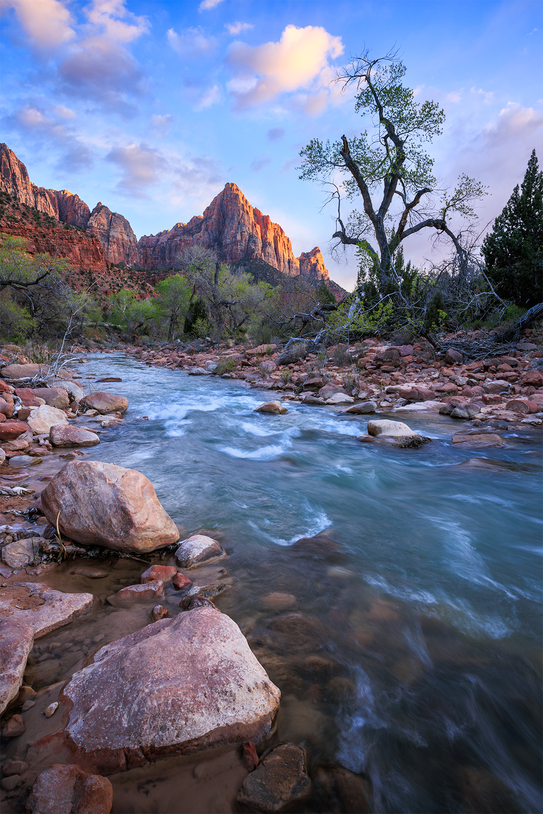 Guardian at Dusk The Watchman in Zion has been a source of photographic inspiration for about a decade for me. I hope I get more years to continue...