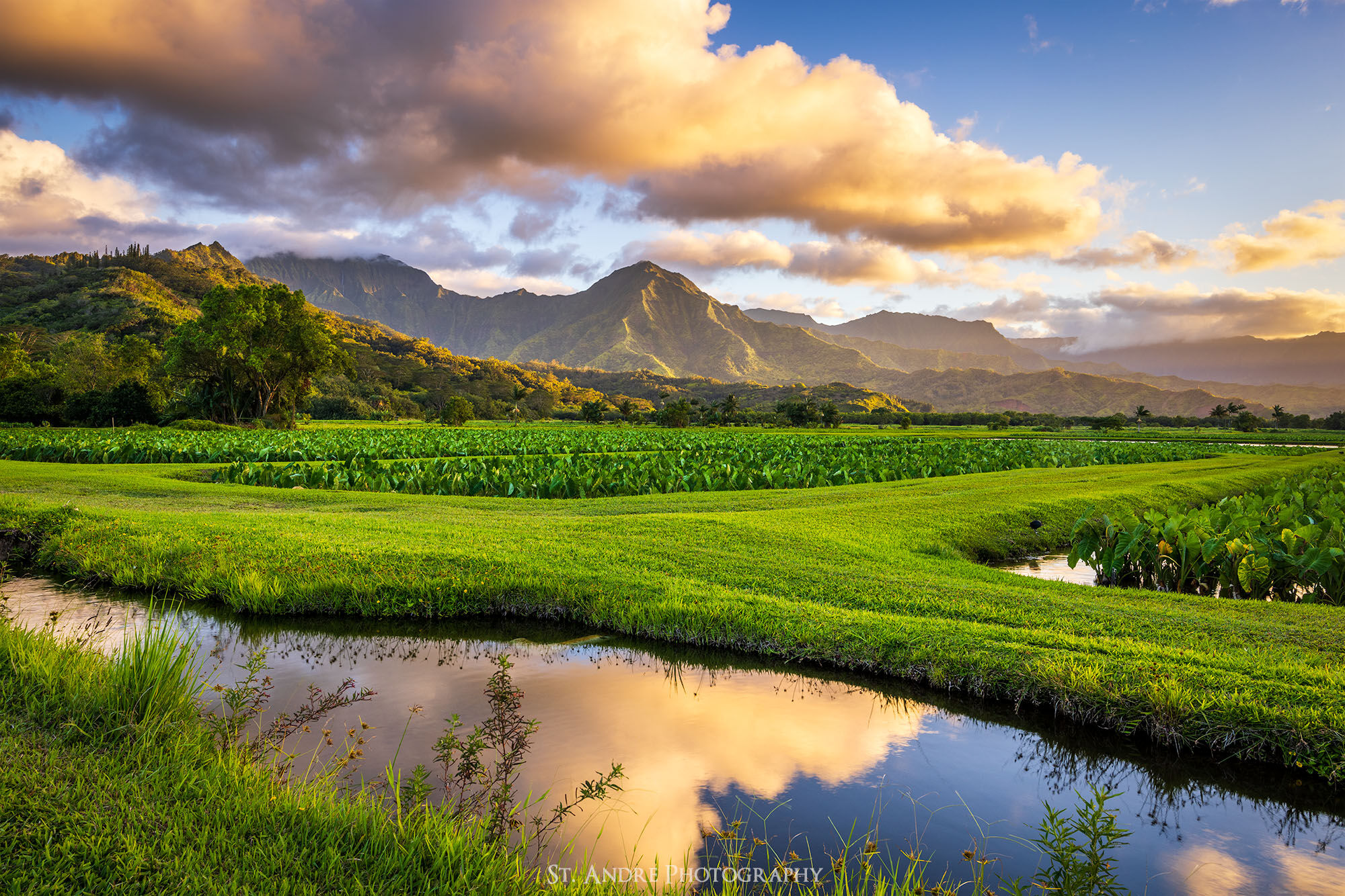 Hanalei National Wildlife Refuge