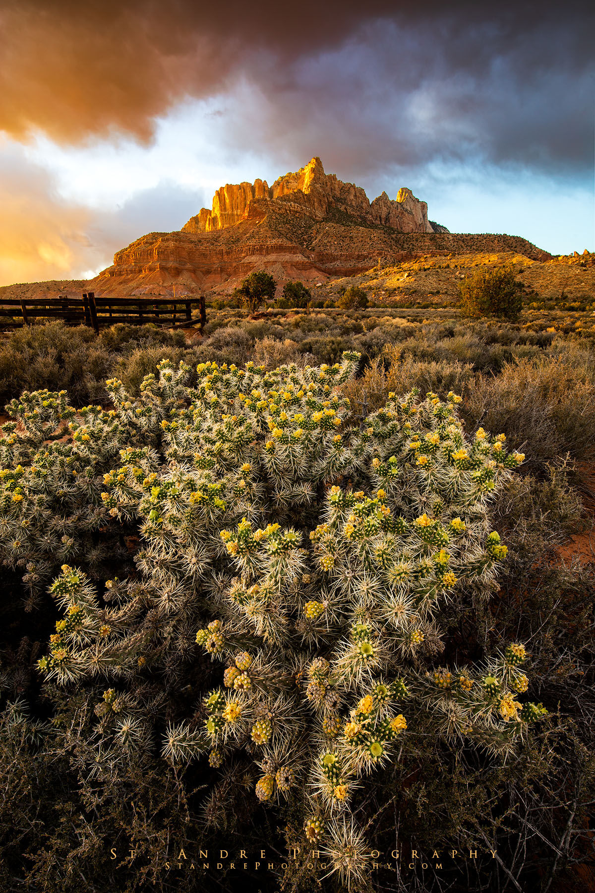 Monsoon thunderstom that is lit up at sunset. These clouds sit above Mt. Kinesava a large mountain in Zion National Park