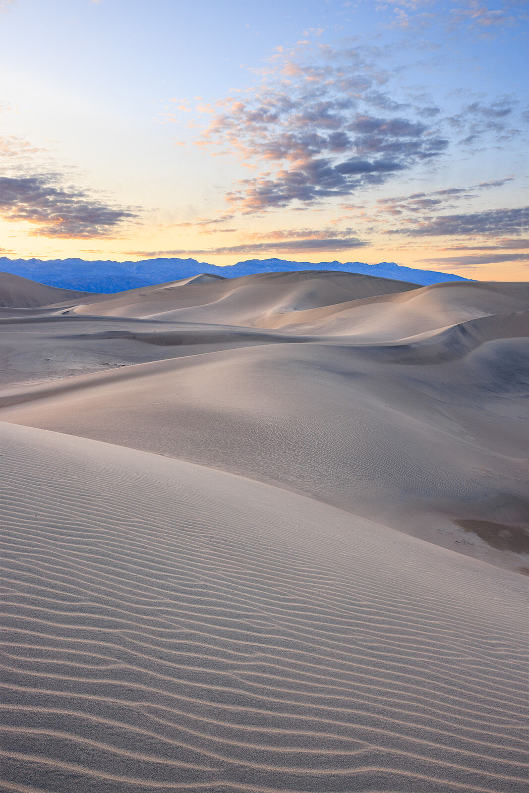 Mesquite Dunes Mesquite sand dunes at sunset